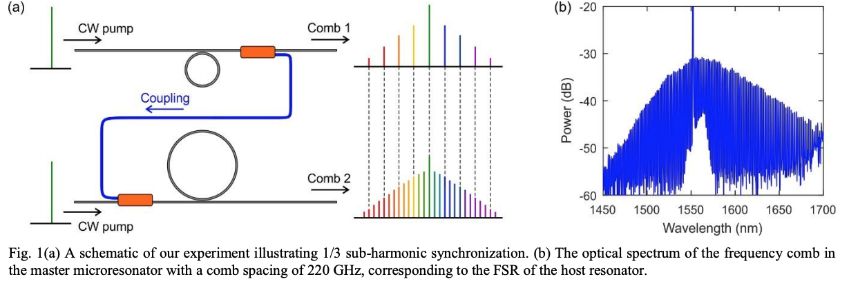 Sub-harmonic synchronization