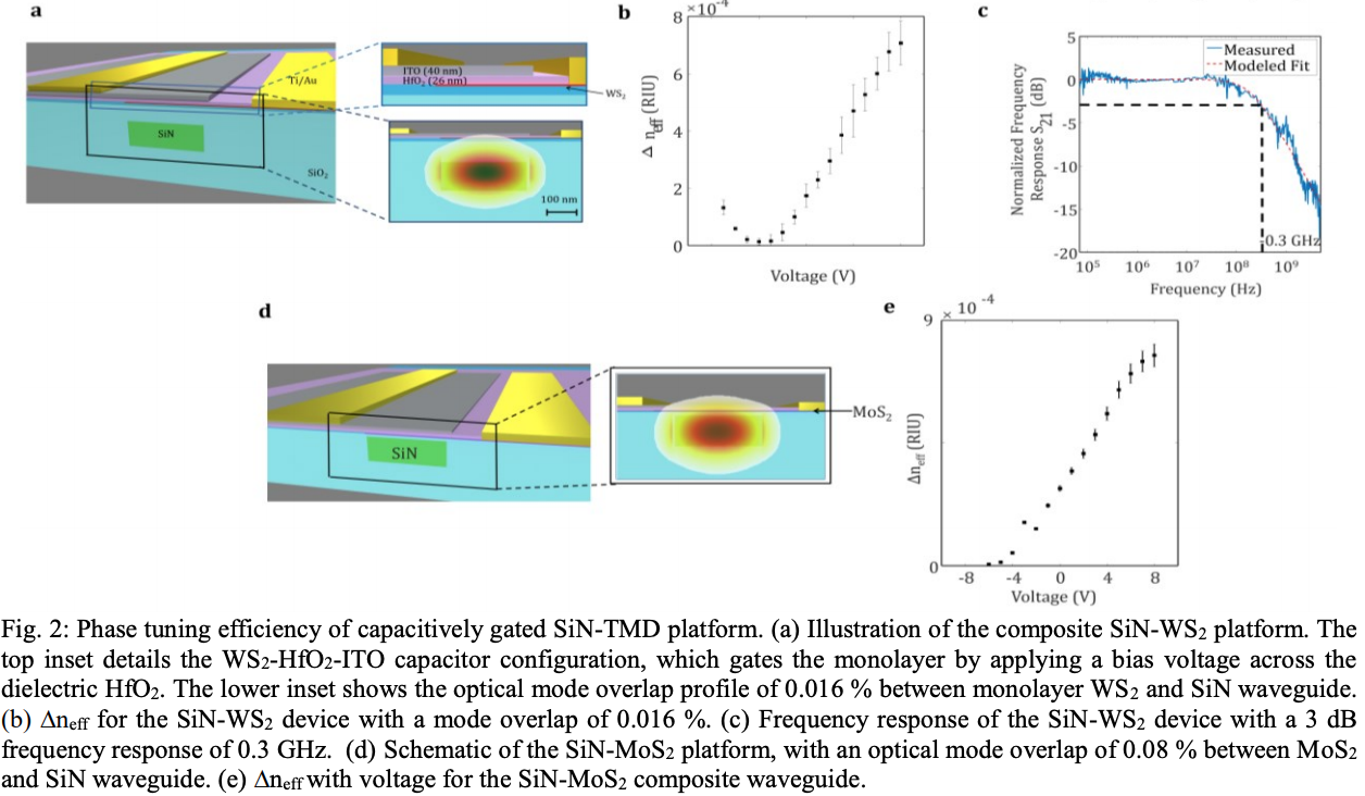 composite 2D monolayers