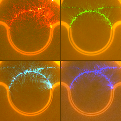 Ultra-low loss, high-confinement microring resonators from deep visible to near-infrared wavelengths
