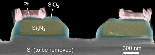 SEM picture of device